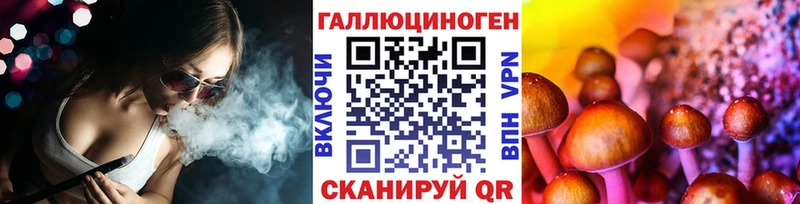 купить наркотики сайты  Большой Камень  Псилоцибиновые грибы MAGIC MUSHROOMS 