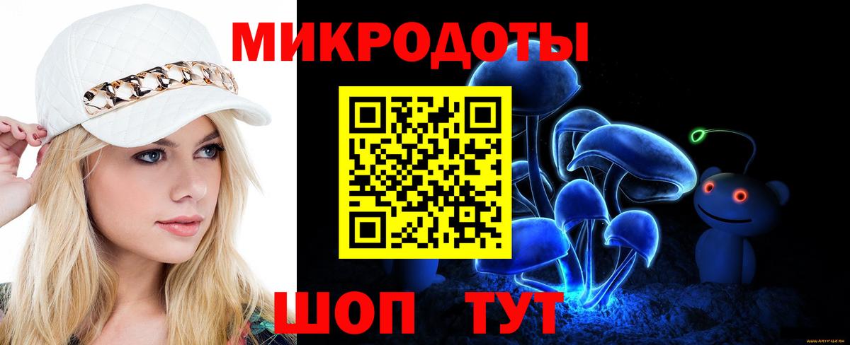 Галлюциногенные грибы Cubensis  Вход с VPN  Галлюциногенные грибы прущие грибы  Большой Камень 